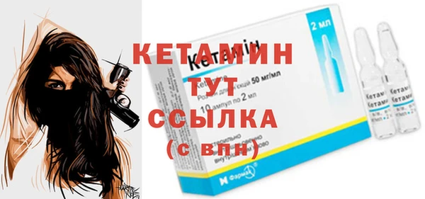 стаф Богданович