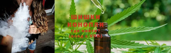стаф Богданович