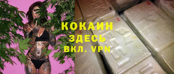 стаф Богданович
