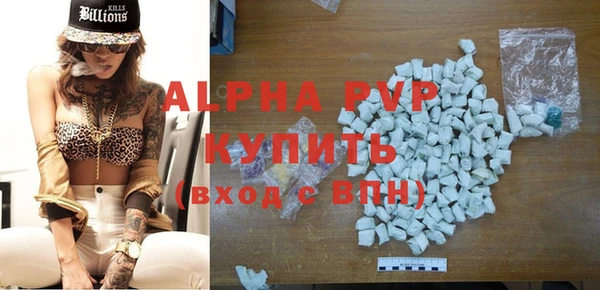 стаф Богданович
