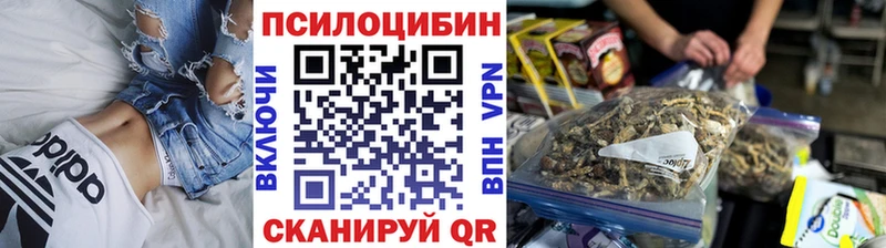 Галлюциногенные грибы прущие грибы  как найти   Йошкар-Ола 