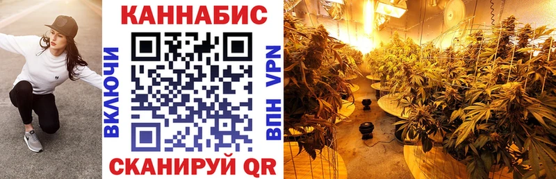даркнет как зайти  Йошкар-Ола  Бошки марихуана Ganja 